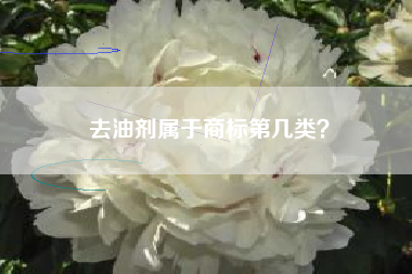 去油剂属于商标第几类？
