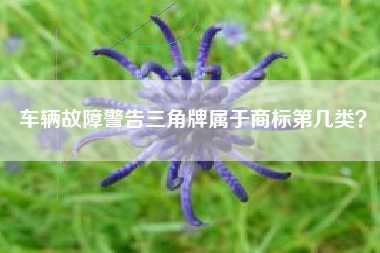 车辆故障警告三角牌属于商标第几类？