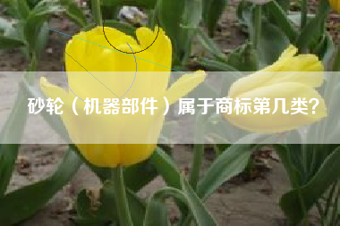 砂轮（机器部件）属于商标第几类？