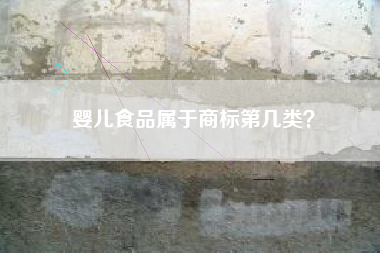 婴儿食品属于商标第几类？