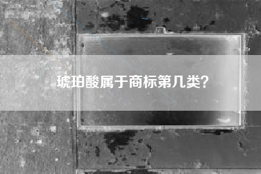 琥珀酸属于商标第几类？