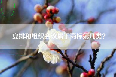安排和组织会议属于商标第几类？