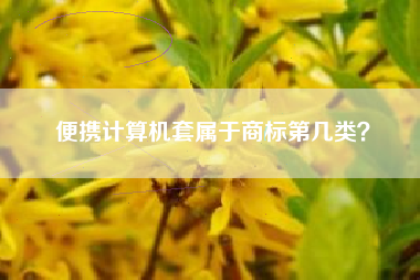 便携计算机套属于商标第几类？
