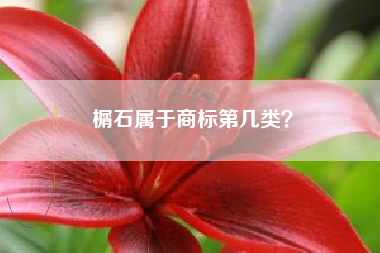 榍石属于商标第几类？