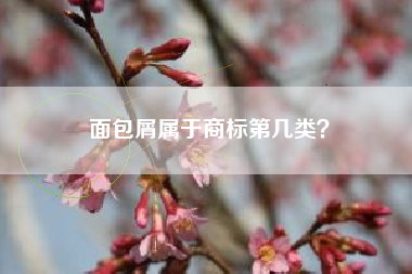 面包屑属于商标第几类？