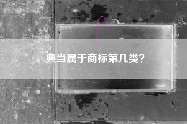 典当属于商标第几类？