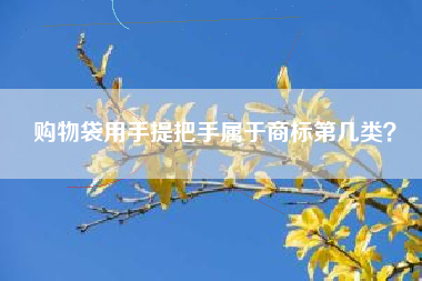 购物袋用手提把手属于商标第几类？