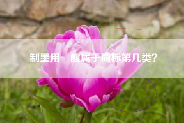 制墨用棓酸属于商标第几类？
