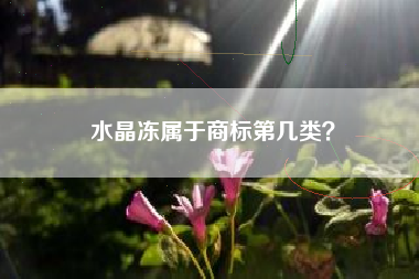 水晶冻属于商标第几类？