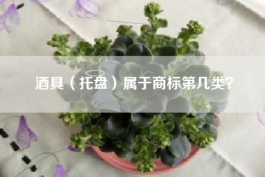酒具（托盘）属于商标第几类？