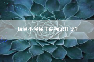 玩具小屋属于商标第几类？