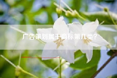 广告策划属于商标第几类? 广告策划属于商标第几类?