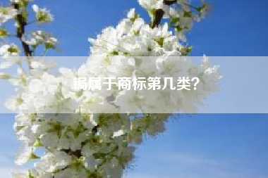 锔属于商标第几类？