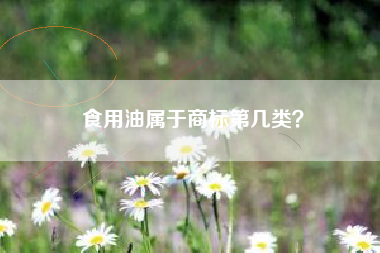 食用油属于商标第几类？
