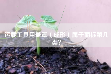 运载工具用盖罩（成形）属于商标第几类？