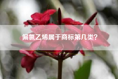 偏氯乙烯属于商标第几类？