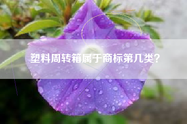 塑料周转箱属于商标第几类？