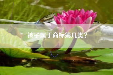 被子属于商标第几类？