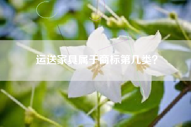运送家具属于商标第几类？