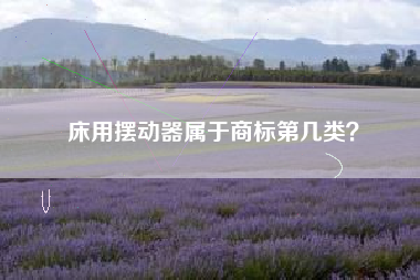 床用摆动器属于商标第几类？