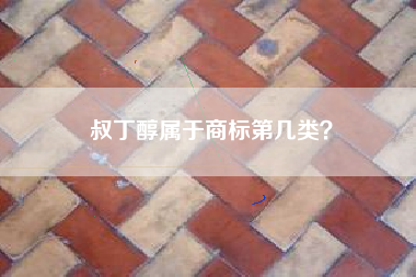 叔丁醇属于商标第几类？