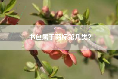 书包属于商标第几类？