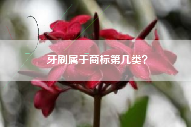 牙刷属于商标第几类？