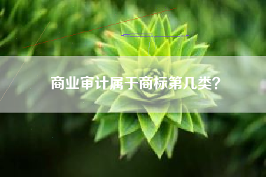 商业审计属于商标第几类？