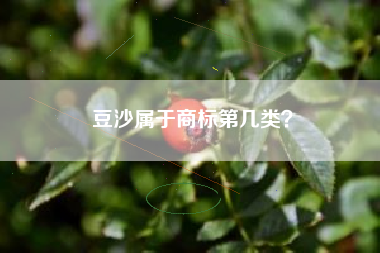 豆沙属于商标第几类？