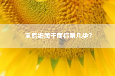 重氮纸属于商标第几类？