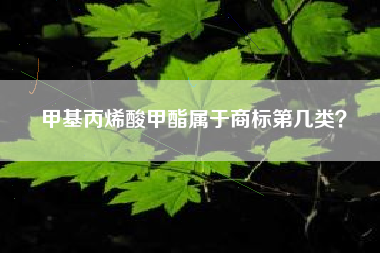 甲基丙烯酸甲酯属于商标第几类？