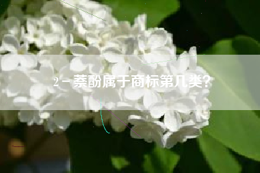2－萘酚属于商标第几类？