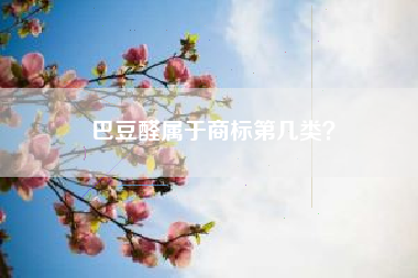 巴豆醛属于商标第几类？
