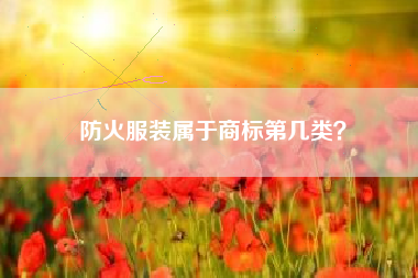 防火服装属于商标第几类？