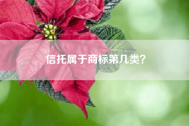 信托属于商标第几类？