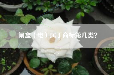 闸盒（电）属于商标第几类？
