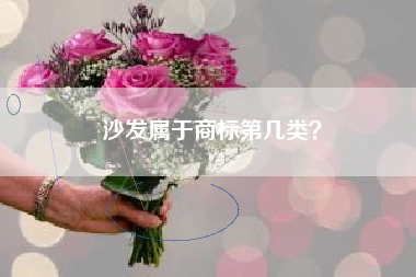 沙发属于商标第几类？
