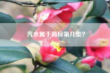 汽水属于商标第几类？