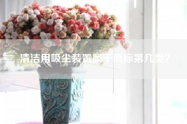 清洁用吸尘装置属于商标第几类？