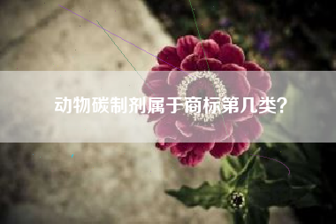 动物碳制剂属于商标第几类？