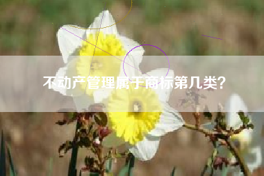 不动产管理属于商标第几类？