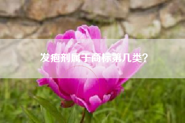 发疱剂属于商标第几类？