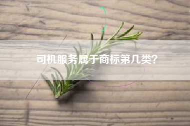 司机服务属于商标第几类? 司机服务属于商标第几类?