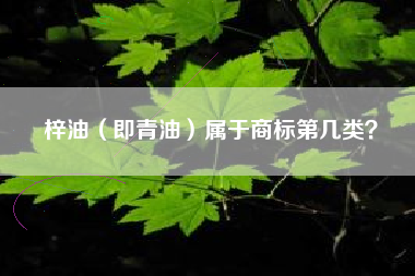 梓油（即青油）属于商标第几类？