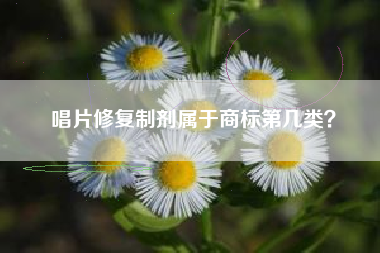 唱片修复制剂属于商标第几类？