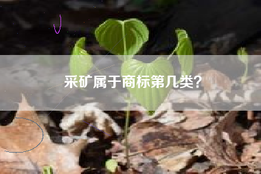 采矿属于商标第几类？
