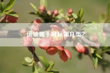 运输属于商标第几类？