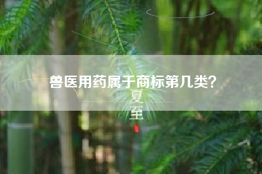 兽医用药属于商标第几类？
