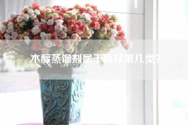 木醇蒸馏剂属于商标第几类？
