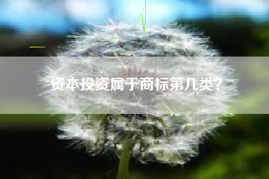资本投资属于商标第几类？